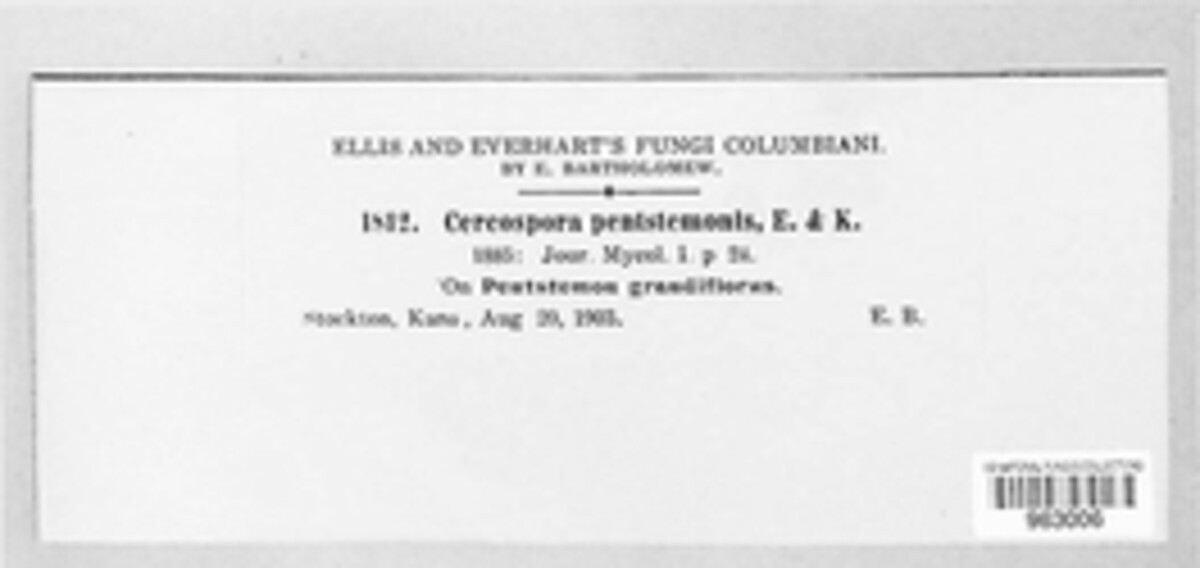 Pseudocercospora penstemonis image
